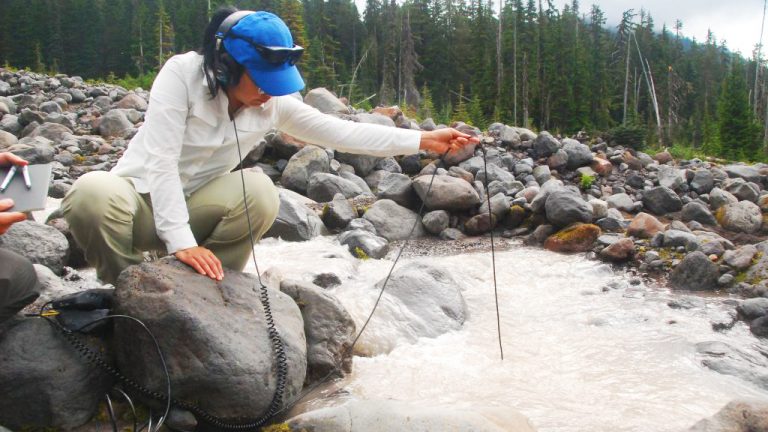 A landscape of loose rocks, through which a small stream flows. Pine trees are visible in the background. A person is crouched on a rock, wearing headphones and lowering a hydrophone on a cable into the running stream. They are wearing green trousers, a white shirt and a blue baseball cap.