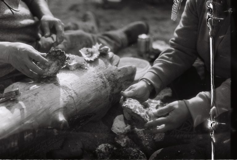 Black and white image of two pairs of hands opening oyster shells