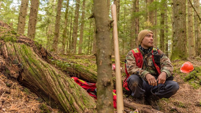 A forest, with many surrounding trees. A large fallen tree trunk is in the foreground. A person in a red vest and tan toque sits to the right, on the forest floor.