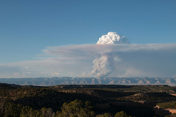 A plume of smoke from a forest fire creates a cloud