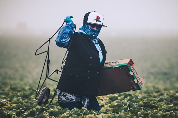 A farmworker waring a scarf over their face carries a box and a trolley through a field