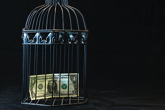An American dollar bill in a cage.